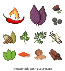 Herb and spices cartoon icons in set collection for design.Different kinds of seasonings vector symbol stock web illustration.