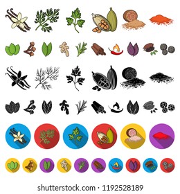 Herb and spices cartoon icons in set collection for design.Different kinds of seasonings vector symbol stock web illustration.