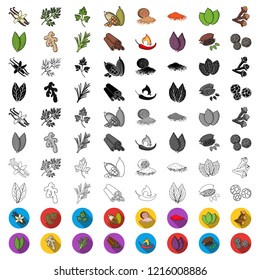 Herb and spices cartoon icons in set collection for design.Different kinds of seasonings vector symbol stock web illustration.