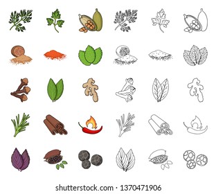Herb and spices cartoon,outline icons in set collection for design.Different kinds of seasonings vector symbol stock web illustration.