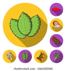 Herb and spices flat icons in set collection for design.Different kinds of seasonings vector symbol stock web illustration.