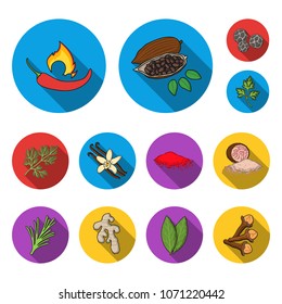Herb and spices flat icons in set collection for design.Different kinds of seasonings vector symbol stock web illustration.