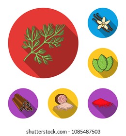 Herb and spices flat icons in set collection for design.Different kinds of seasonings vector symbol stock web illustration.