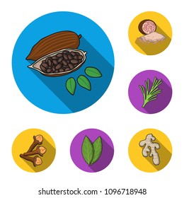 Herb and spices flat icons in set collection for design.Different kinds of seasonings vector symbol stock web illustration.