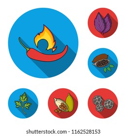 Herb and spices flat icons in set collection for design.Different kinds of seasonings vector symbol stock web illustration.