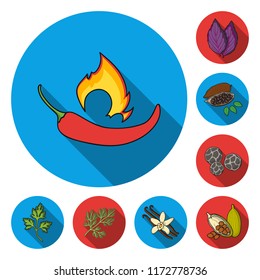 Herb and spices flat icons in set collection for design.Different kinds of seasonings vector symbol stock web illustration.