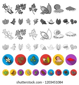 Herb and spices flat icons in set collection for design.Different kinds of seasonings vector symbol stock web illustration.