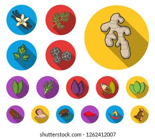Herb and spices flat icons in set collection for design.Different kinds of seasonings vector symbol stock web illustration.