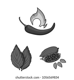 Herb and spices monochrome icons in set collection for design.Different kinds of seasonings vector symbol stock web illustration.