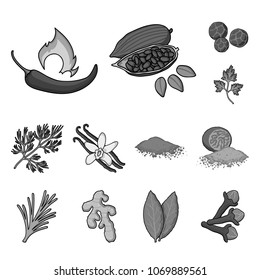 Herb and spices monochrome icons in set collection for design.Different kinds of seasonings vector symbol stock web illustration.