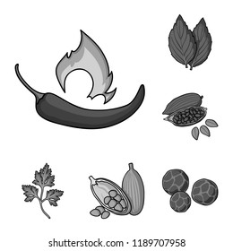 Herb and spices monochrome icons in set collection for design.Different kinds of seasonings vector symbol stock web illustration.