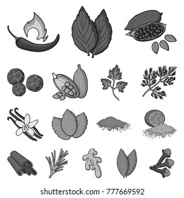 Herb and spices monochrome icons in set collection for design.Different kinds of seasonings vector symbol stock web illustration.