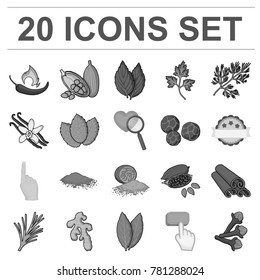 Herb and spices monochrome icons in set collection for design.Different kinds of seasonings vector symbol stock web illustration.