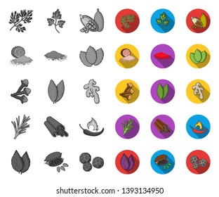 Herb and spices mono,flat icons in set collection for design.Different kinds of seasonings vector symbol stock web illustration.