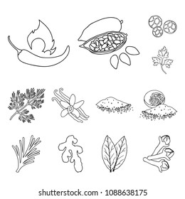 Herb and spices outline icons in set collection for design.Different kinds of seasonings vector symbol stock web illustration.