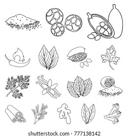 Herb and spices outline icons in set collection for design.Different kinds of seasonings vector symbol stock web illustration.