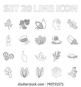 Herb and spices outline icons in set collection for design.Different kinds of seasonings vector symbol stock web illustration.