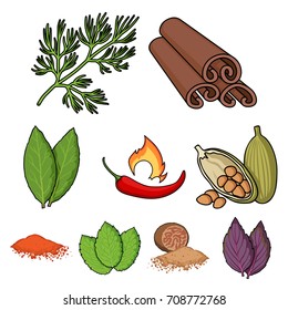 Herb Spices Set Icons Cartoon Style Stock Vector (Royalty Free