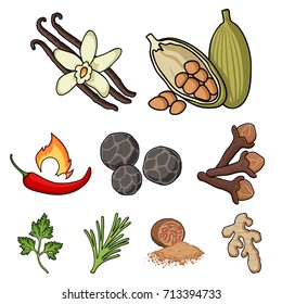 Herb and spices set icons in cartoon style. Big collection of herb and spices vector symbol stock illustration
