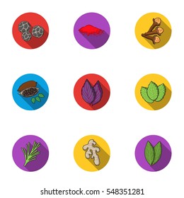 Herb and spices set icons in flat style. Big collection of herb and spices vector symbol stock illustration