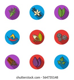 Herb and spices set icons in flat style. Big collection of herb and spices vector symbol stock illustration