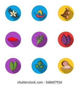 Herb and spices set icons in flat style. Big collection of herb and spices vector symbol stock illustration