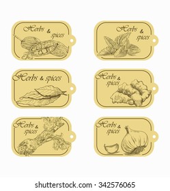  herb and spices storage labels with sketch