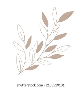 Herb sprig of forest plant line art. simple icon plant blade of grass