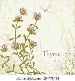 Herb thyme on floral background