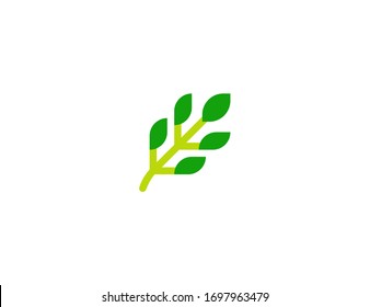 Herb vector flat icon. Isolated crop plant emoji illustration 