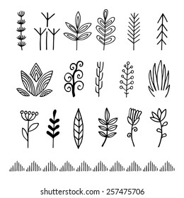 Herb vector set