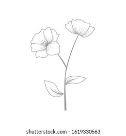 Herb and wild flower hand drawn vector