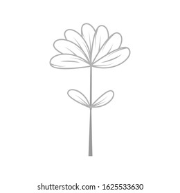 Herb and wild flower hand drawn vector eps 10