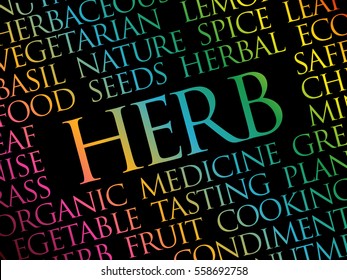 HERB word cloud collage, food concept background