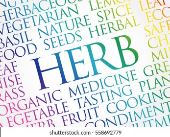 HERB word cloud collage, food concept background