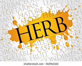 HERB word cloud concept
