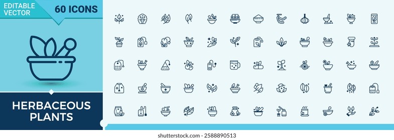 Herbaceous Plants icon collection. Related to cooking, condiments, nutmeg, web, spice, seed, spices and more. Minimal icons. Editable vector outline and solid icons.