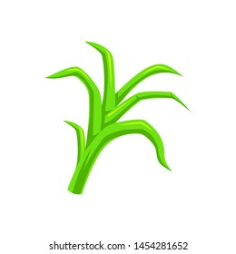 Herbage icon. Vector illustration of herbage isolated on white background