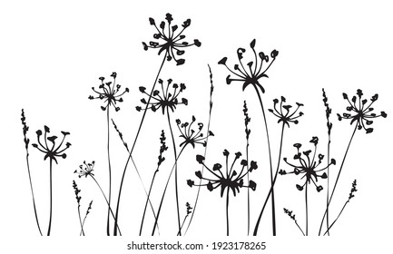 Herbal background with grass and flowers silhouettes. Spring or summer background. Vector illustration.