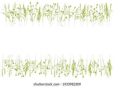 Herbal borders with place for text on white background - silhouettes of herbs - green grass with copy space for natural spring and summer design