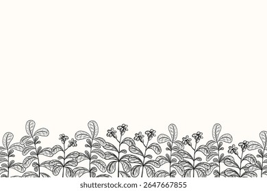 Herbal botanical banner with Stevia plant for text. Background sketch with engraved sweet branches sugar substitute. Design for label, card, logo, sign. Hand drawn Honey grass against diabetes, food