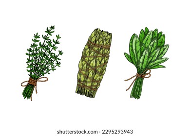 Herbal bunches. Set of hand drawn leaf seasonings. Vector illustration in sketch style