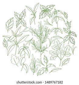 Herbal card concept. Vector illustration for design and web,