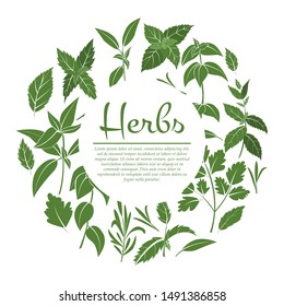 Herbal card concept. Vector illustration of herbs - basil, rosemary and parsley for design and web with text space