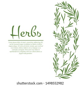 Concepto de tarjeta herbal. Ilustración vectorial para diseño y web,