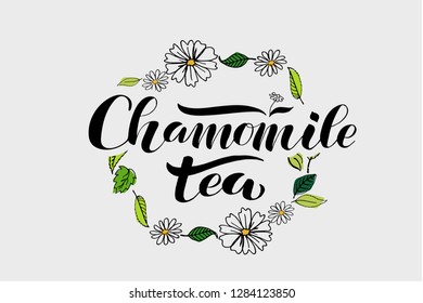 HERBAL CHAMOMILE TEA lettering typography poster. Logotype, advertising, package design. Textured background. Tea leaves, handdrawn flowers. Icon, badge, label. Vector illustration and wreath.