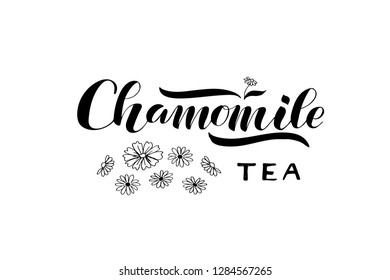 HERBAL CHAMOMILE TEA lettering typography poster. Logotype, advertising, package design.  Tea leaves, handdrawn flowers. Icon, badge, label. Vector illustration.