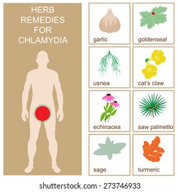 herbal chlamydia remedies. vector format illustration.