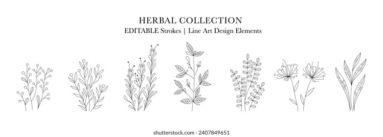 Herbal Collection. Editable line art monochrome Design. Set of linear floral designs, medicine flowers and plants. Vector illustration