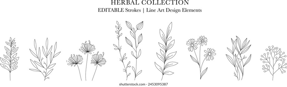 Herbal Collection. Editable line art monochrome Design. Set of linear floral designs, medicine flowers and plants. Vector illustration